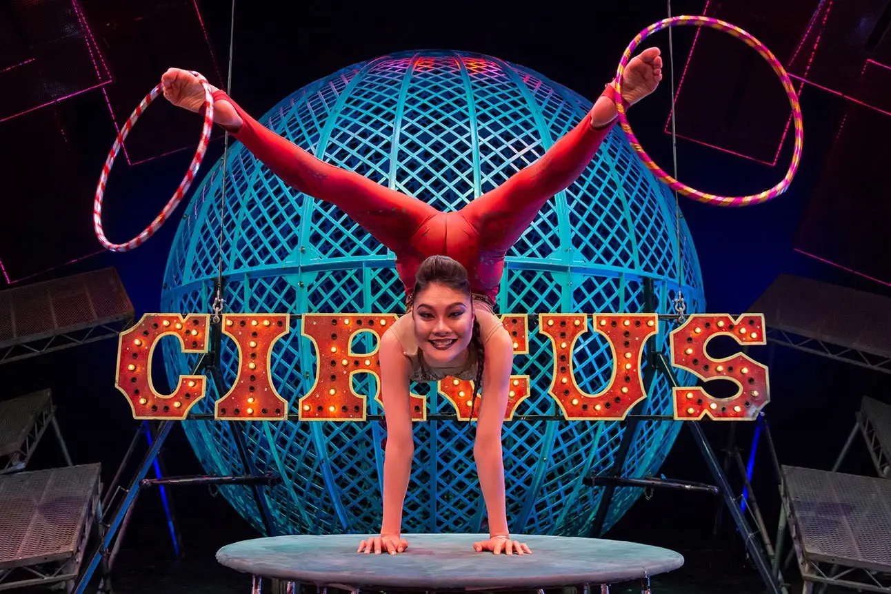Aerial and acrobatic artistry