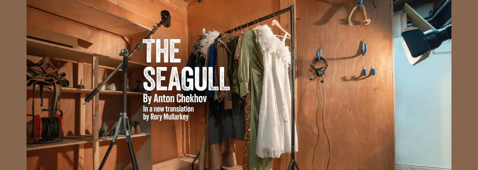 The Seagull